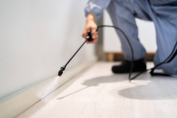 Bed Bug Pre-Treatment Preparation Assessment in Brownsville