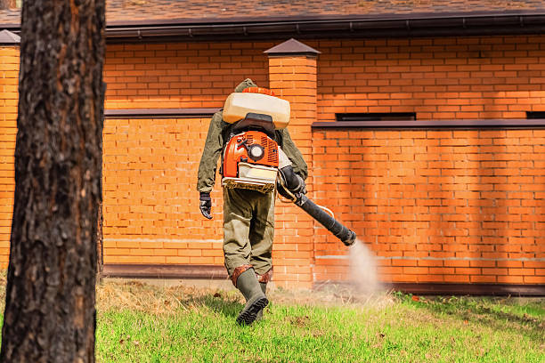 Bed Bug Clearance Verification and Documentation in Brownsville